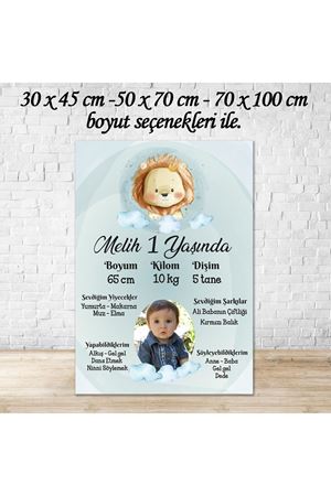 Fotoğraflı Doğum Günü Künye Bilgi Panosu - Aslan Konsept