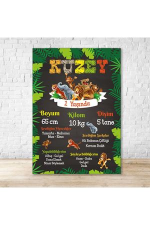 Safari Konsept Künye Bilgi Panosu