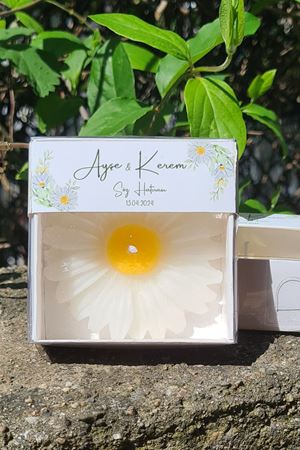 Kutulu Papatya Mum Nikah Şekeri