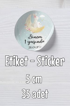 İsme Özel Etiket 5cm 35 Adet Anne Kız Tavşan Konsept